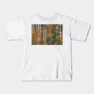 Quaking Aspen Trees In Fall Colors Lost Lake Gunnison National Fores Kids T-Shirt